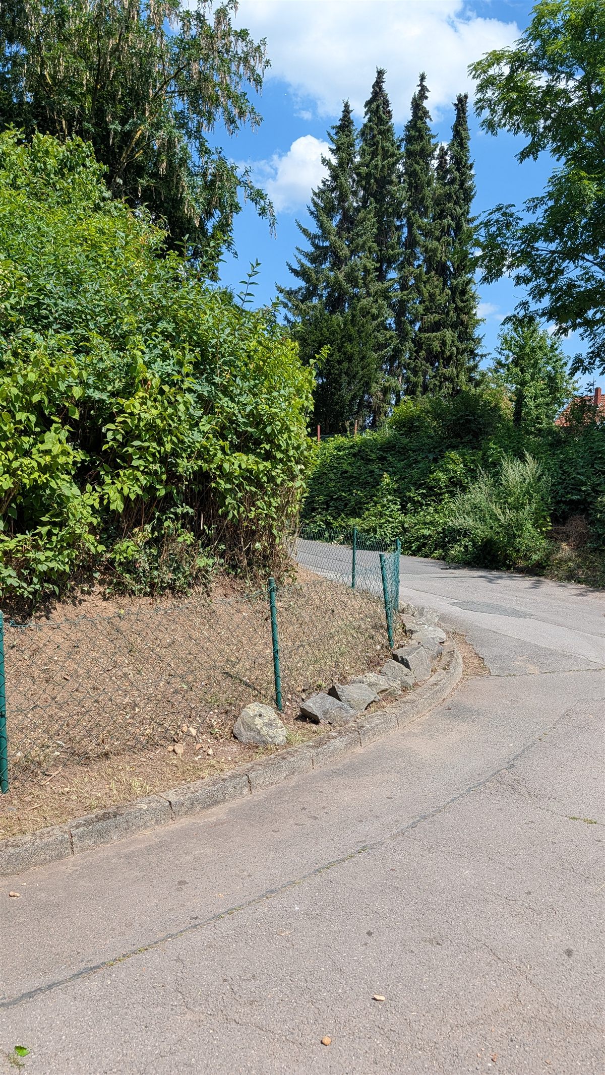 Straßenrand und Zaun nach Grundstückspflege in Hildesheim