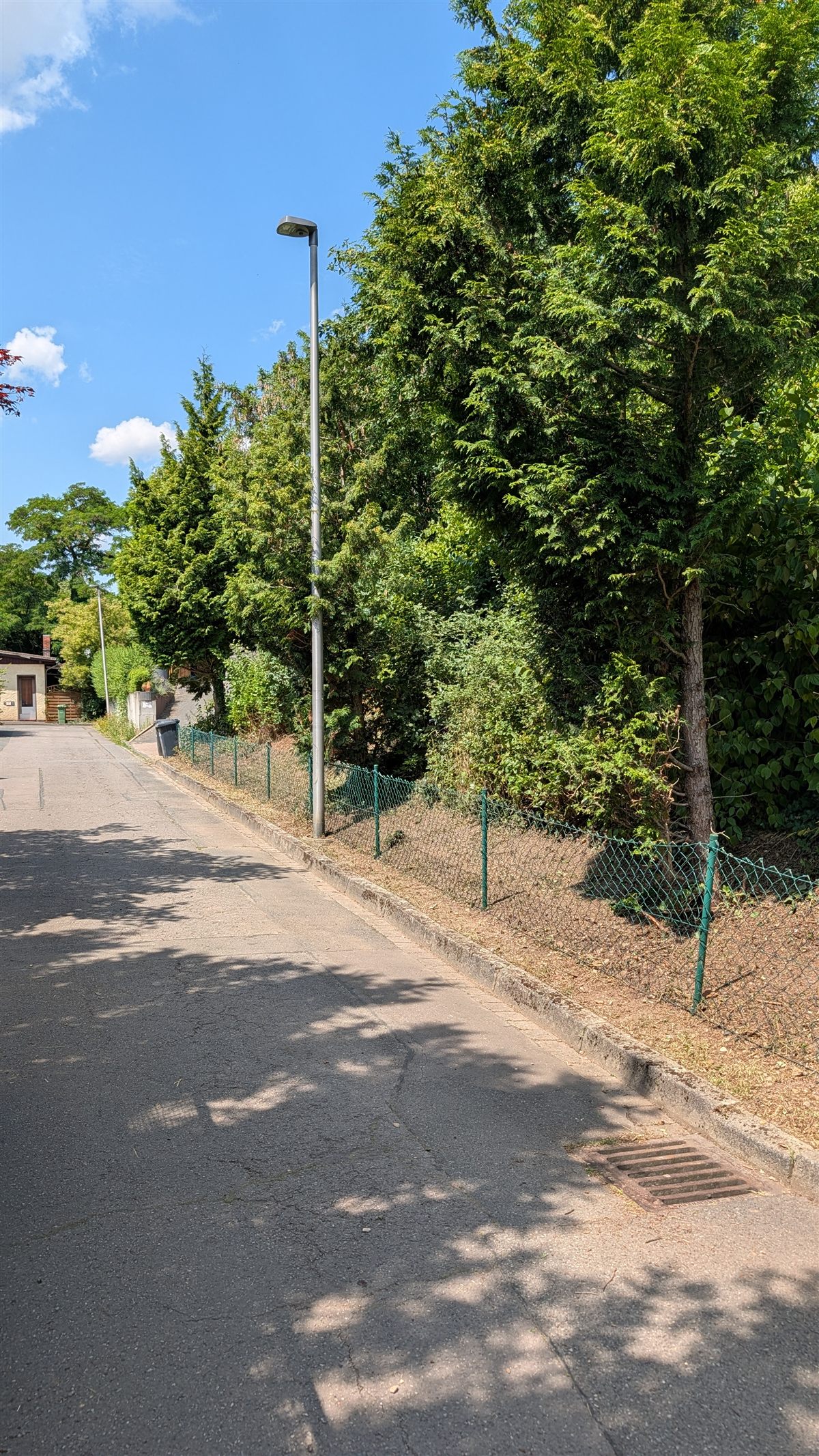 Freigeschnittene Böschung nach Grundstückspflege in Hildesheim