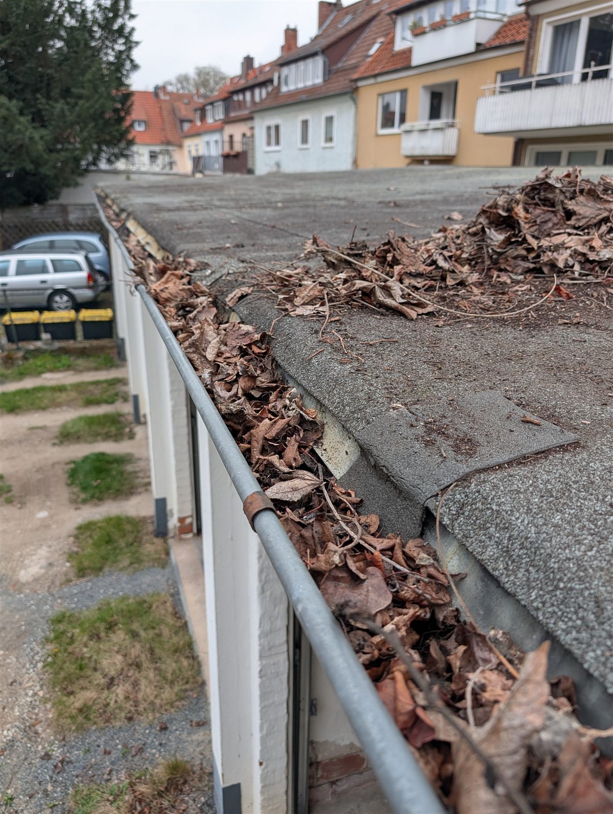 Dachrinne vor der Reinigung: vollständig mit Laub verstopft