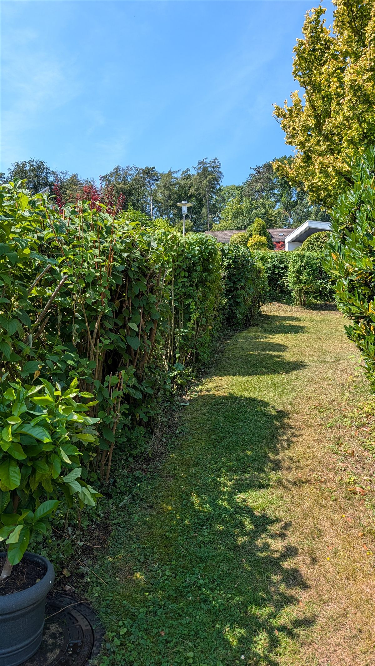 Gepflegter Privatgarten in Hildesheim nach Heckenschnitt und Rasenpflege