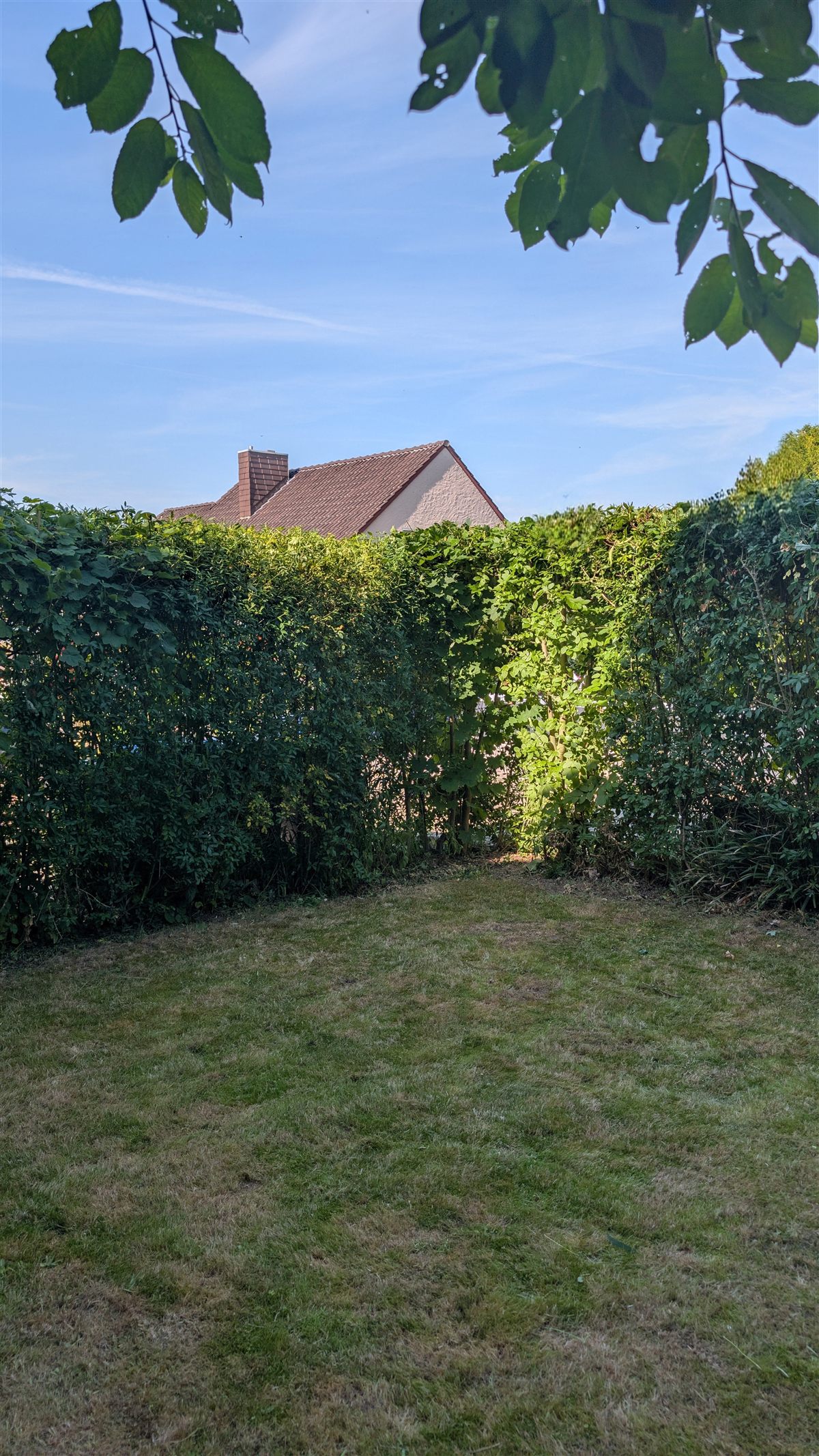 Gepflegter Privatgarten in Hildesheim nach Rasenpflege
