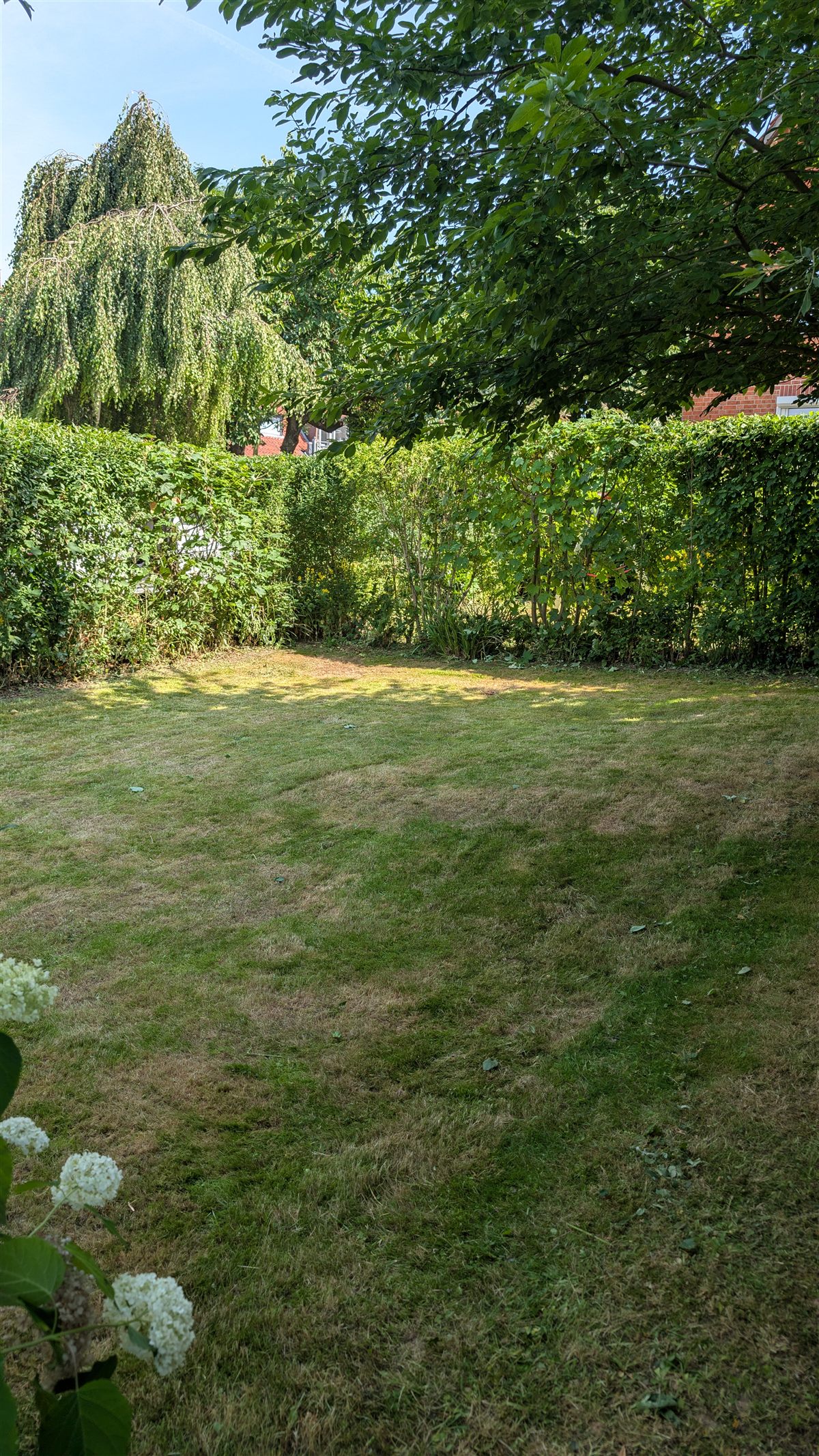 Frisch gemähter Rasen in Hildesheim, Rasenpflege durch HECKENFRITZ